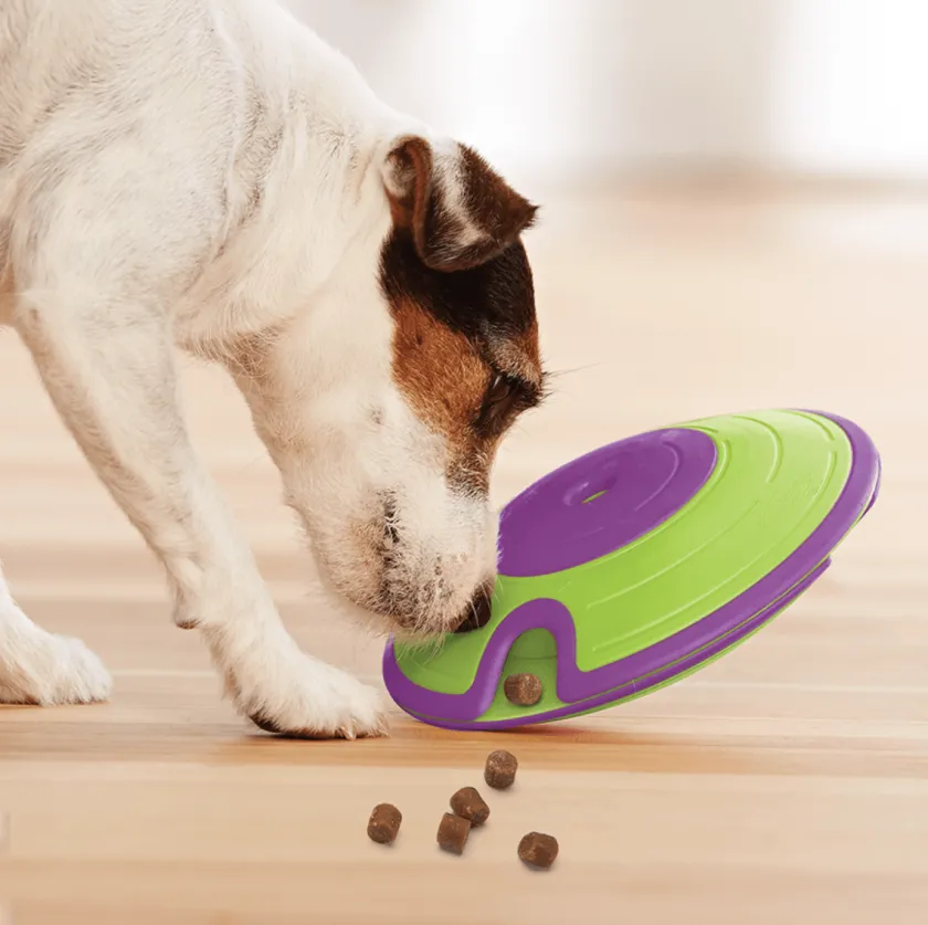 Nina Ottosson Juguetes^Dispensador Maze Nivel 2 Juguete para Perros