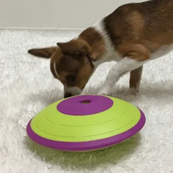 Nina Ottosson Juguetes^Dispensador Maze Nivel 2 Juguete para Perros