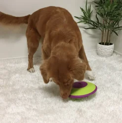 Nina Ottosson Juguetes^Dispensador Maze Nivel 2 Juguete para Perros