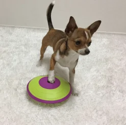 Nina Ottosson Juguetes^Dispensador Maze Nivel 2 Juguete para Perros
