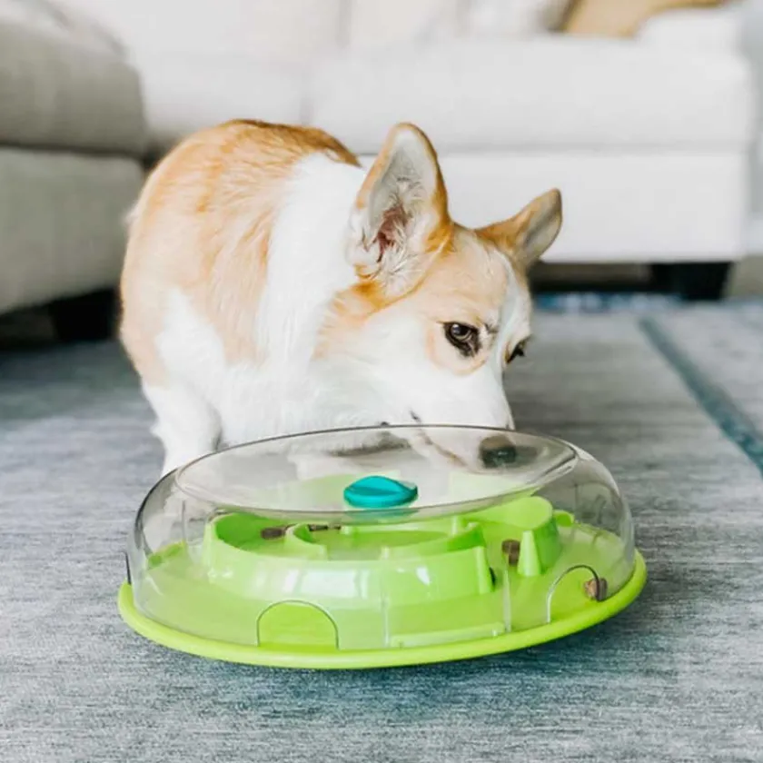 Nina Ottosson Juguetes^Perros Wobble Bowl Nivel 1