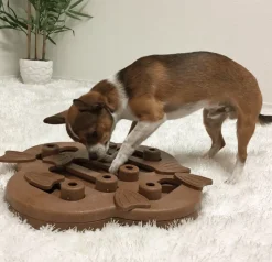 Nina Ottosson Juguetes^Puzzle Hide N Slide Composite Nivel 2 para Perros