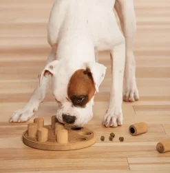 Nina Ottosson Juguetes | Productos Outlet^Puzzle Smart Composite Nivel 1 juguete para perros