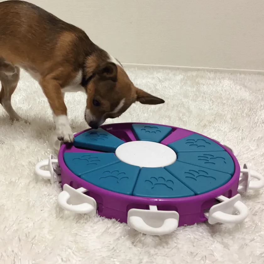 Nina Ottosson Juguetes^Puzzle Twister Nivel 3 para Perros