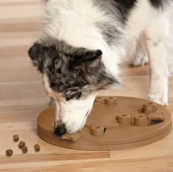 Nina Ottosson Juguetes | Productos Outlet^Puzzle Worker Composite Nivel 3 para Perros