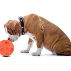 Omega Paw Juguetes^Pelota para Golosinas Small