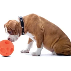 Omega Paw Juguetes | Senior (+7 Años)^Pelota para Golosinas Medium