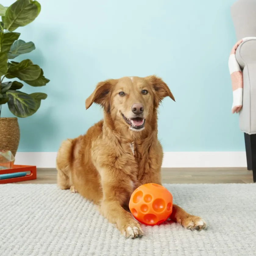 Omega Paw Juguetes^Pelota para Golosinas Small