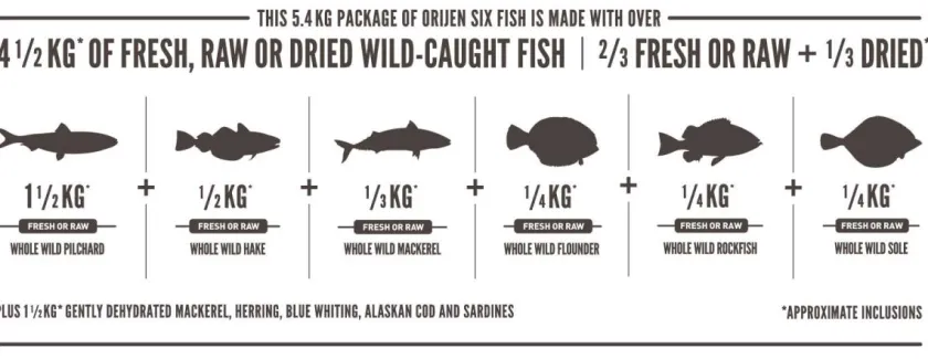 Orijen Senior (+7 Años) | Adultos (1 A 7 Años)^Cat Six Fish 5.5kg