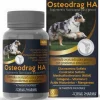 Vitaminas Y Suplementos | Post Operatorio^Osteodrag HA 60 comprimidos