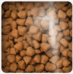 Oven Baked Senior (+7 Años) | Adultos (1 A 7 Años)^Cat Grain Free Chicken 2.27kg