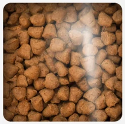 Oven Baked Senior (+7 Años) | Adultos (1 A 7 Años)^Cat Grain Free Duck 4.54kg