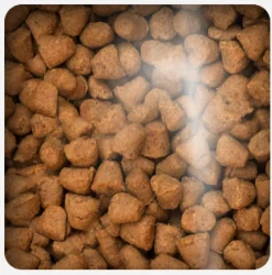 Oven Baked Senior (+7 Años) | Adultos (1 A 7 Años)^Cat Grain Free Fish 2.27kg