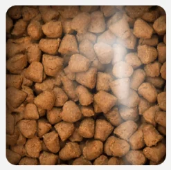 Oven Baked Adultos (1 A 7 Años)^Cat Traditional Adult Chicken 2.27kg