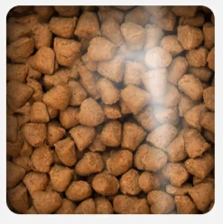 Oven Baked Adultos (1 A 7 Años)^Cat Traditional Adult Fish 4.54kg