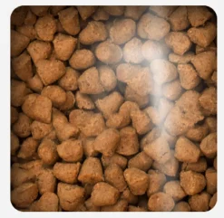 Oven Baked Control Peso | Senior (+7 Años)^Cat Traditional Senior and Light Chicken 2.27kg