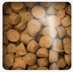 Oven Baked Adultos (1 A 7 Años)^Dog Traditional Adult Fish All Breed 11.34kg
