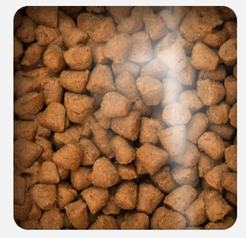 Oven Baked Adultos (1 A 7 Años)^Dog Traditional Adult Fish Small Breed 2.27kg