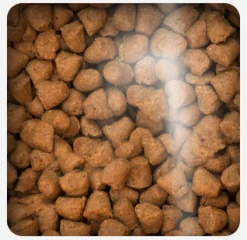 Oven Baked Adultos (1 A 7 Años)^Dog Traditional Chicken Adult Small Breed 2.27kg