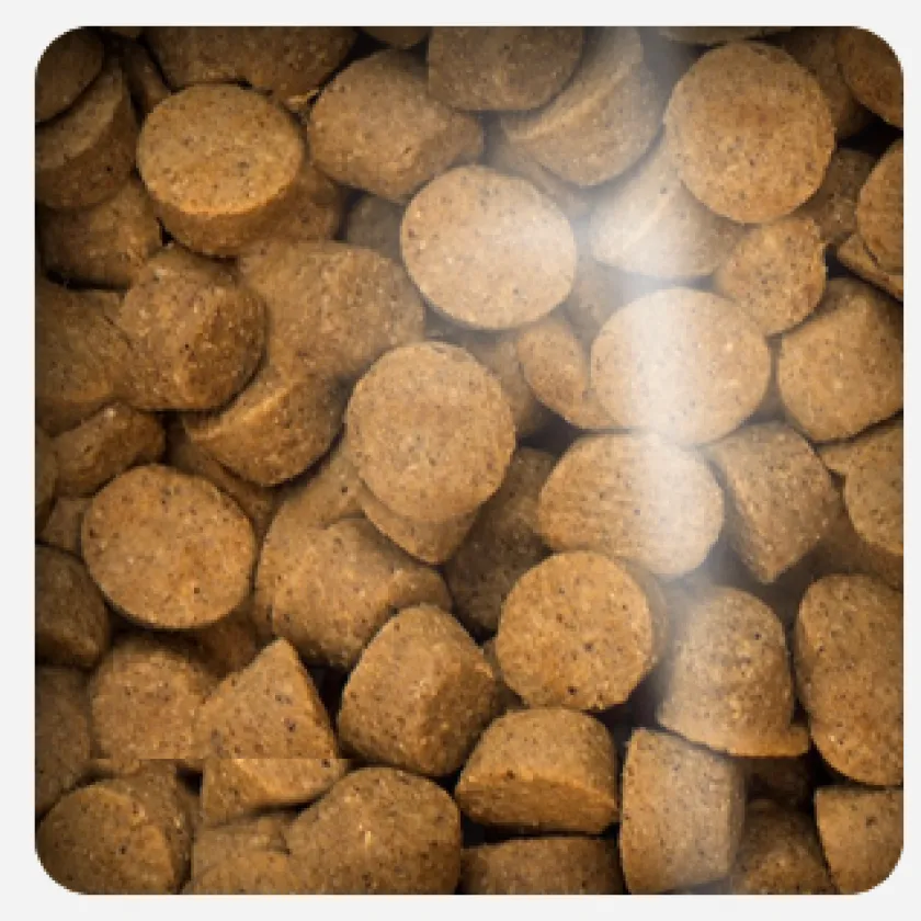 Oven Baked Adultos (1 A 7 Años)^Dog Traditional Chicken Adult All Breed 11.34kg