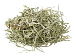 oxbow Hámsters | Chinchillas^HENO ORCHARD GRASS 425GR
