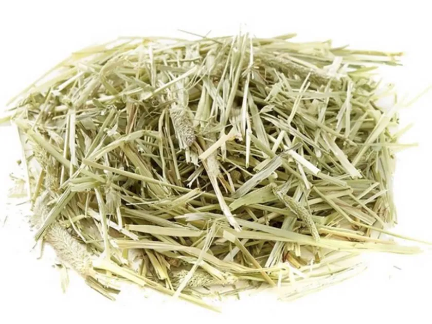 oxbow Hámsters | Chinchillas^WESTERN TIMOTHY GRASS 425gr