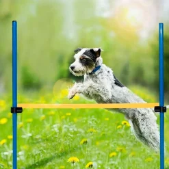 Pawise Adiestramiento | Productos Outlet^Agility Valla