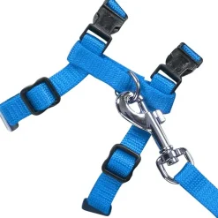 Pawise Arnes, Collares, Correas^Arnes con Trailla Color
