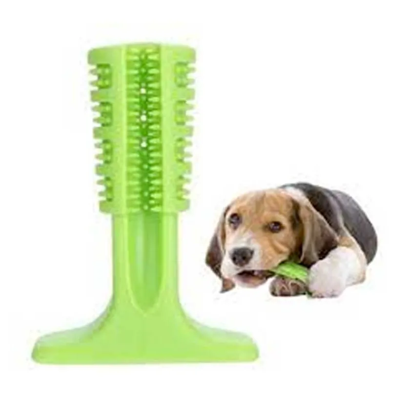 Pawise Cuidado Dental | Productos Outlet^Cepillo de Dientes Large Chewy para Perros