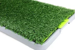 Pawise Carpetas De Entrenamiento | Adiestramiento^Pasto Sanitario