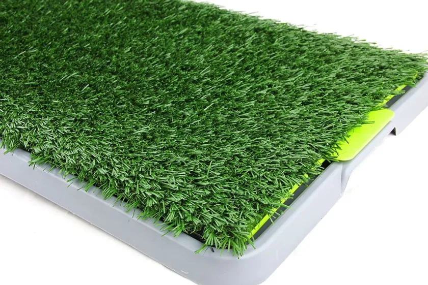 Pawise Carpetas De Entrenamiento | Adiestramiento^Pasto Sanitario
