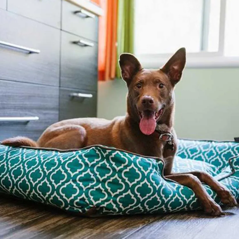 P.L.A.Y. Camas | Camas^Play Cama Lounge Morrocan Teal