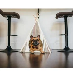 P.L.A.Y. Casas Y Transportadoras Para Gatos | Casas Y Transportadoras Para Perros^Play Carpa Horizont