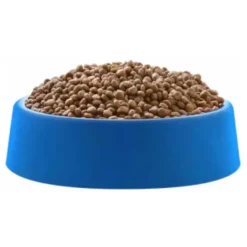 PremieR Gatitos (0 A 12 Meses)^Golden Para Gatitos Sabor Pollo y Arroz 10.1kg