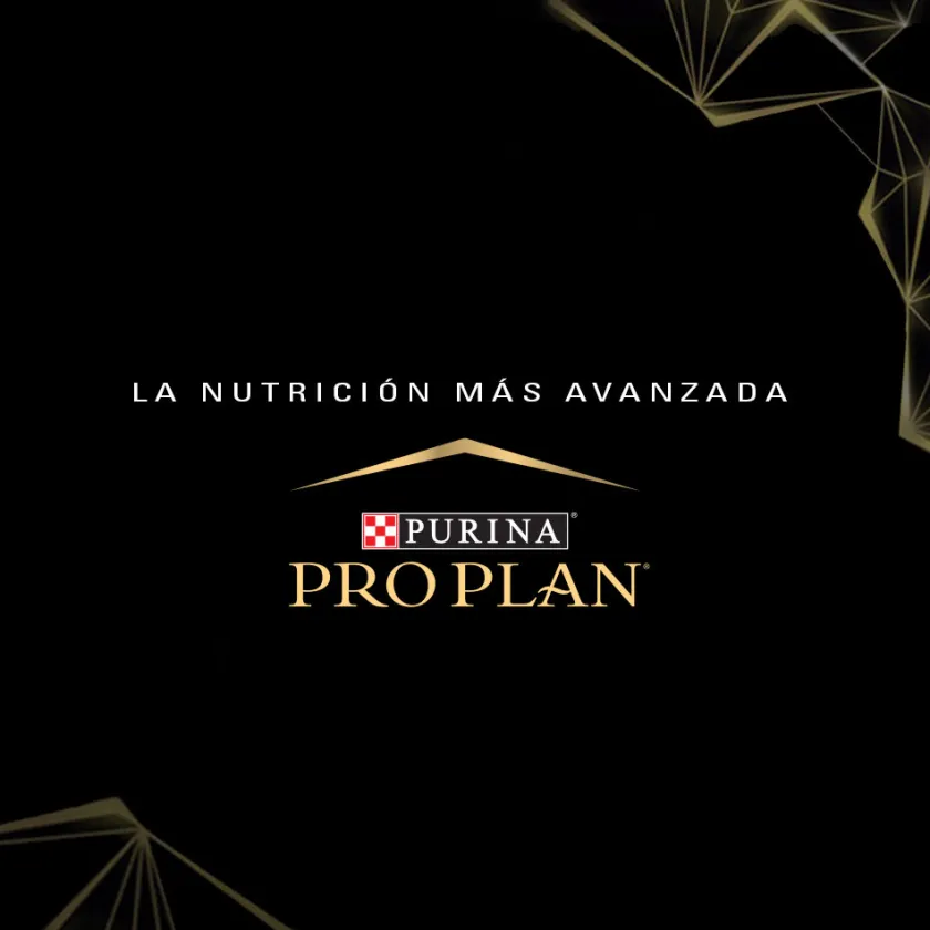 Pro Plan - Purina Adultos (1 A 7 Años)^Pro Plan Cat Sensitive Skin and Stomach 3kg
