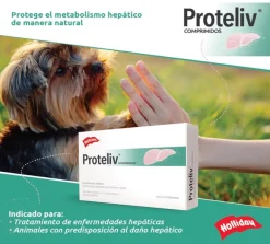Holliday Vitaminas Y Suplementos^Proteliv 21 Comprimidos