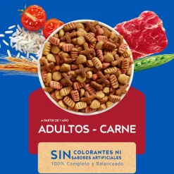 Cat Chow - Purina Adultos (1 A 7 Años)^Purina Cat Chow Adultos Carne con Defense Plus 3kg