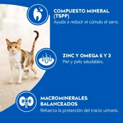 Cat Chow - Purina Adultos (1 A 7 Años)^Purina Cat Chow Adultos Delimix con Defense Plus 1kg