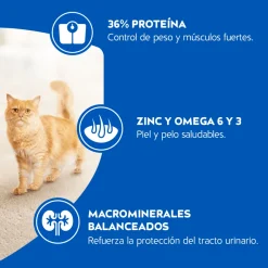 Cat Chow - Purina Castrados | Adultos (1 A 7 Años)^Purina Cat Chow Adultos Esterilizados con Defense Plus 24kg