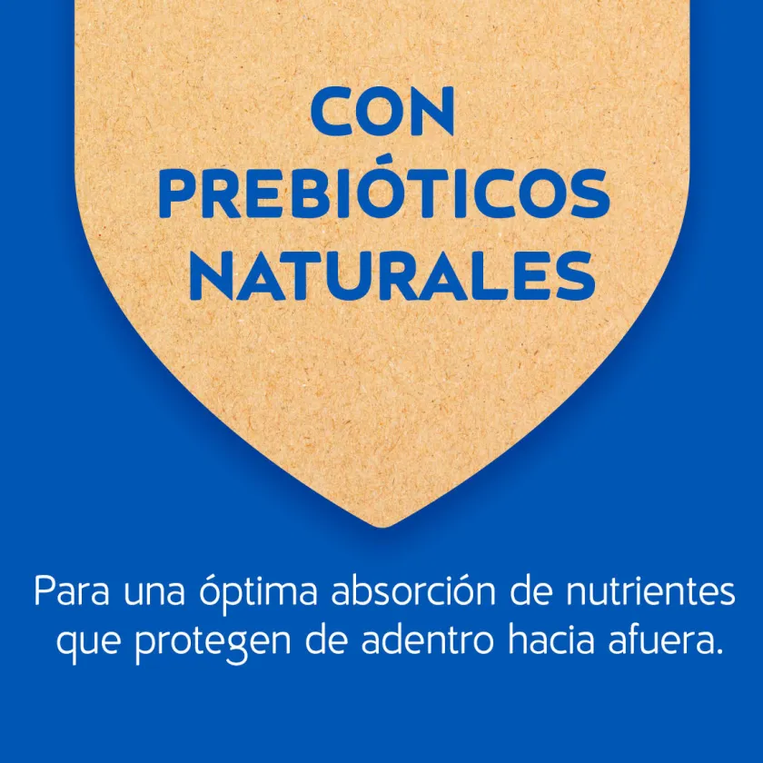 Cat Chow - Purina Adultos (1 A 7 Años)^Purina Cat Chow Adultos Pescado con Defense Plus 8kg