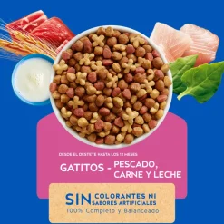 Cat Chow - Purina Gatitos (0 A 12 Meses)^Purina Cat Chow Gatitos 8kg