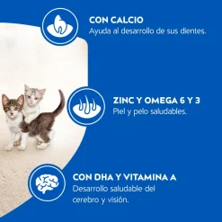 Cat Chow - Purina Gatitos (0 A 12 Meses)^Purina Cat Chow Gatitos 8kg