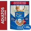 Cat Chow - Purina Húmedos^Purina Cat Chow Hydro Adultos Carne 85gr