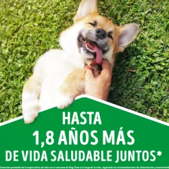 Dog Chow - Purina Senior (+7 Años)^Purina Dog Chow Adultos 7+ Longevidad 18kg
