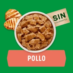 Dog Chow - Purina Húmedos^Purina Dog Chow Alimento Húmedo Adulto Pollo 100gr