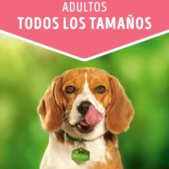Dog Chow - Purina Húmedos^Purina Dog Chow Alimento Húmedo Adulto Pavo 100gr