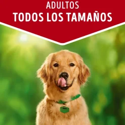 Dog Chow - Purina Húmedos^Purina Dog Chow Alimento Húmedo Adulto Carne 100gr