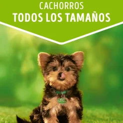 Dog Chow - Purina Húmedos^Purina Dog Chow Alimento Húmedo Cachorro Carne 100gr