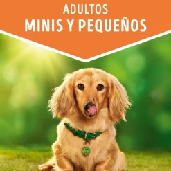 Dog Chow - Purina Húmedos^Purina Dog Chow Alimento Húmedo Adulto Razas Pequeñas Salmón 100gr
