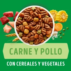 Dog Chow - Purina Cachorros (0 A 12 Meses)^Purina Dog Chow Cachorros Razas Medianas y Grandes 18kg